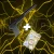 USP.webp