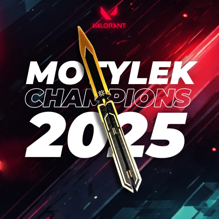 motylek.webp