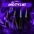 motylki (1).webp